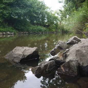 Aktuelles Bild der Itz: Man sieht einen Flusslauf mit wenig Wasser, Steine ragen am Rand hoch aus dem Wasser.