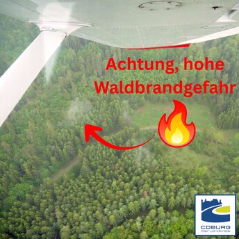 Aufnahme eine Waldgrundstückes von einem Flugzeug aus. Unten im Wald erkennt man eine kleine Rauchsäule.