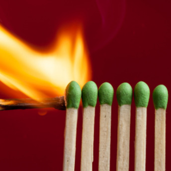 Ein brennendes Streichholz nähert sich den Köpfen von sechs weiteren, noch nicht brennenden Streichhölzern von der Seite.